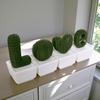 3D Printed Cactus Green Plant Ornament - Creative Home Decoration Craft