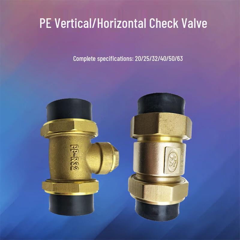 Zhandong PE Check Valve