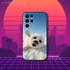 Cute S-Seal Seals Animal Phone Case For Samsung S10,S21,FE,S21 ,S26,S25,S24,S23,Ultra,S9,S22,Plus Black Shockproof Silicone Sof