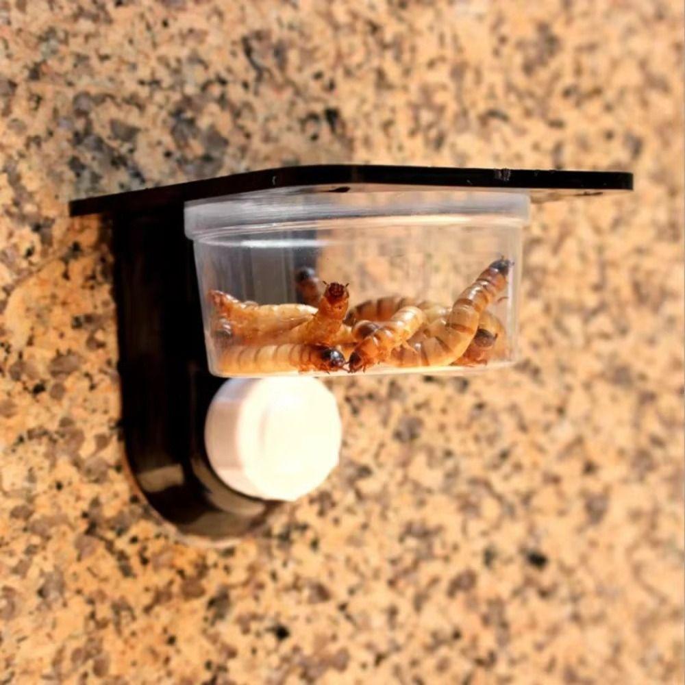 Dual Purpose Insect Feeding Dish Plastic Gecko Feeding Ledge Reptile Feeder Bowl for Snake