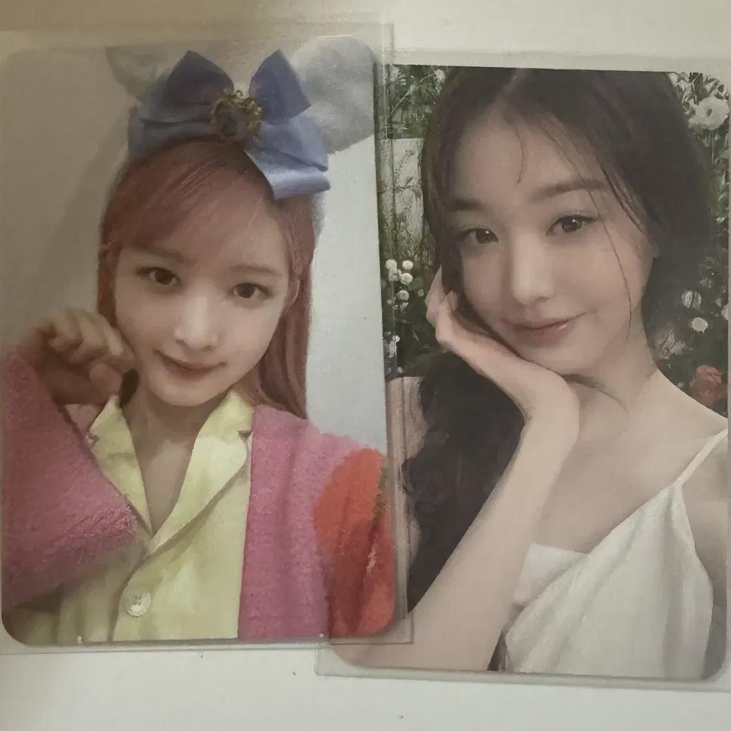 

Ive Wonyoung Ray Poca Bulk Sale