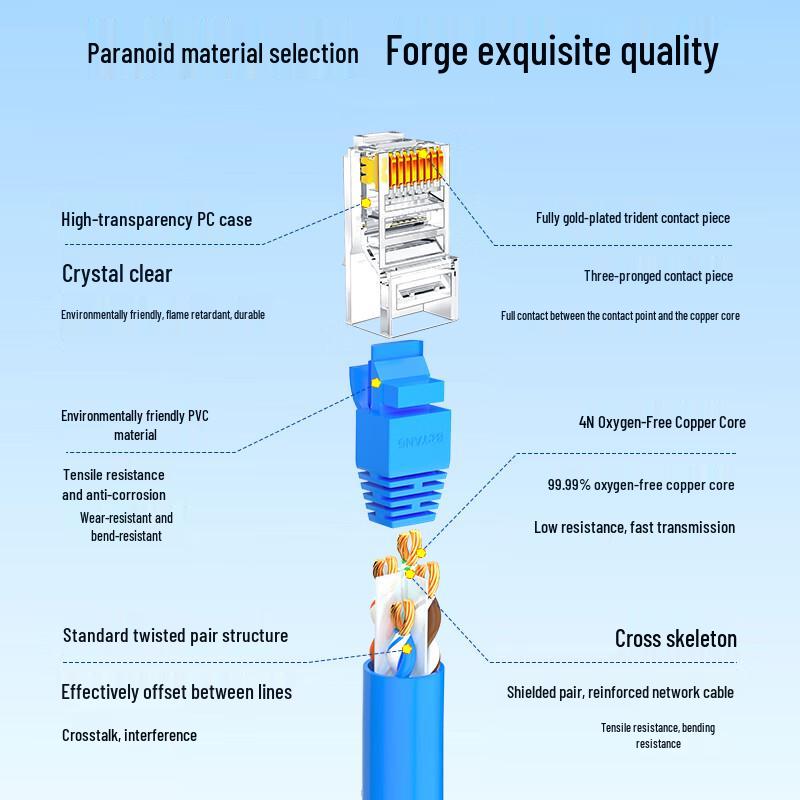 Boyang Cat.6 RJ45 Ethernet Cable (10-Pack)