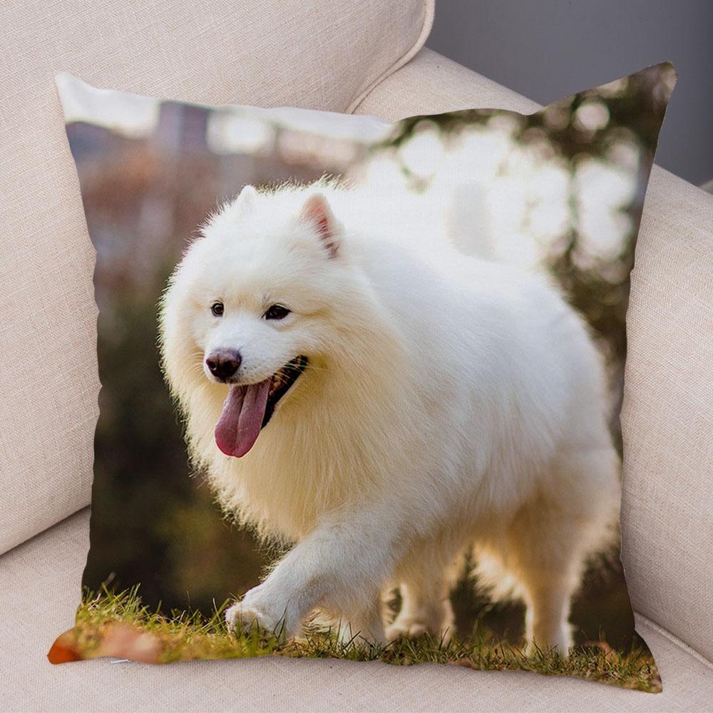 50 Stil Husă de Pernă Câine Alb Drăguț Samoyed Decor Husă de Pernă Animal de Companie Iubitor Husă de Pernă Moale de Pluș pentru Canapé Cameră Copii
