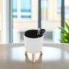 Adjustable Automatic Watering Flower Pot Plants Pots Pp Planter Indoor with Inlet