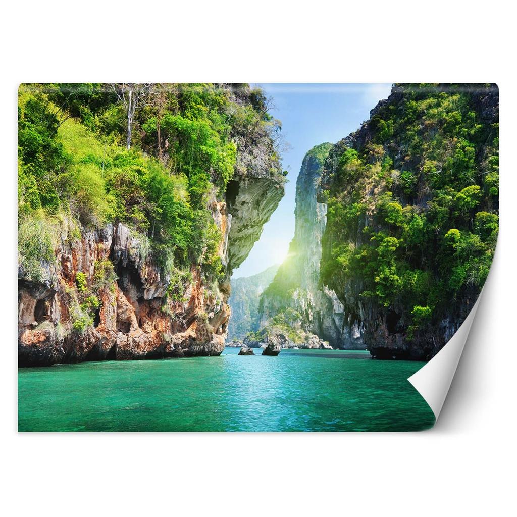 Wallpaper Tropical bay palms