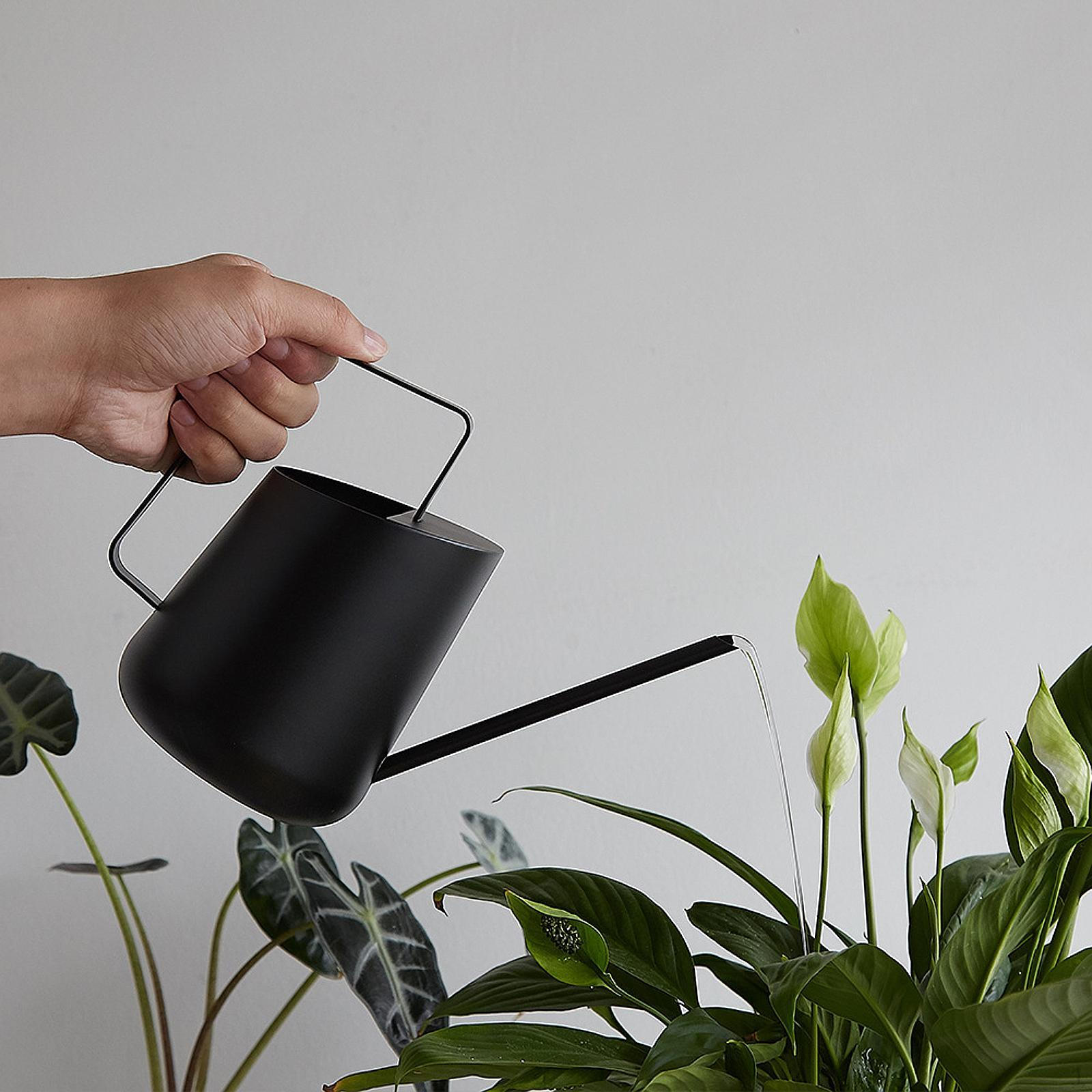 

Лейка с длинным носиком, чайник из нержавеющей стали, портативная эргономичная ручка, садовый горшок