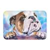 English Bulldog Doormat Non-Slip Bath Kitchen Mat Bedroom Balcony Door Floor Entrance Carpet Rug