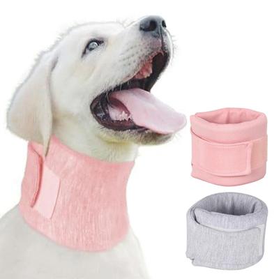 Köpek – Köpek Tasmaları ve Tasma Kayışları