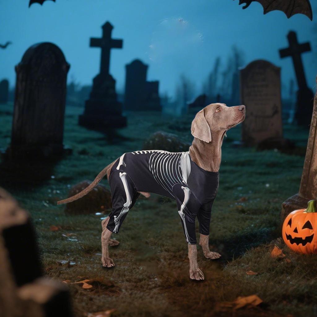 Dog Skeleton Halloween Costume Apparel Clothes Onesie for Festival Carnival