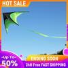 1.6m Big Triangle Kite Easy To Fly Green Kite 10 Meter Tail Primary Stunt Kite with Wheel Line for Kids Adults for Outdoor