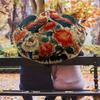 0106 Floral Chicken & Dinosaur  pattern, automatic folding umbrella, portable and foldable design, 8 ribs, a Christmas or birthday gift.