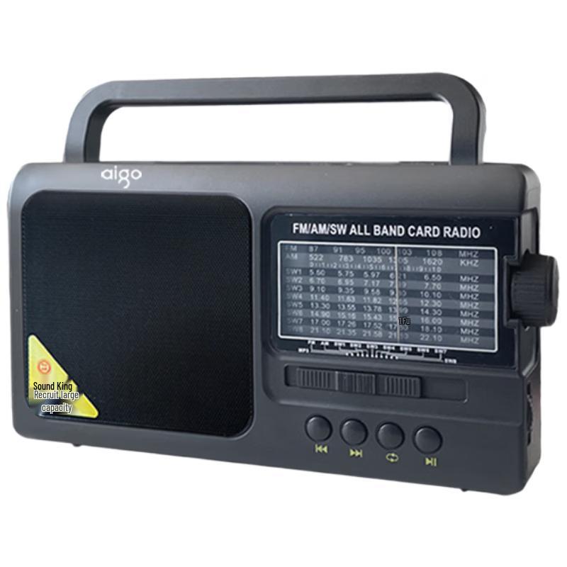 Aigo Bärbar Multifunktionsradio Spelare CN-kontakt (adapter ingår)