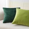 Green Velvet Cushion Cover Decorative Pillowcase 18*18 Inch for Living Room Gift Sofa Car Decoration Pillows Nordic Home Decor