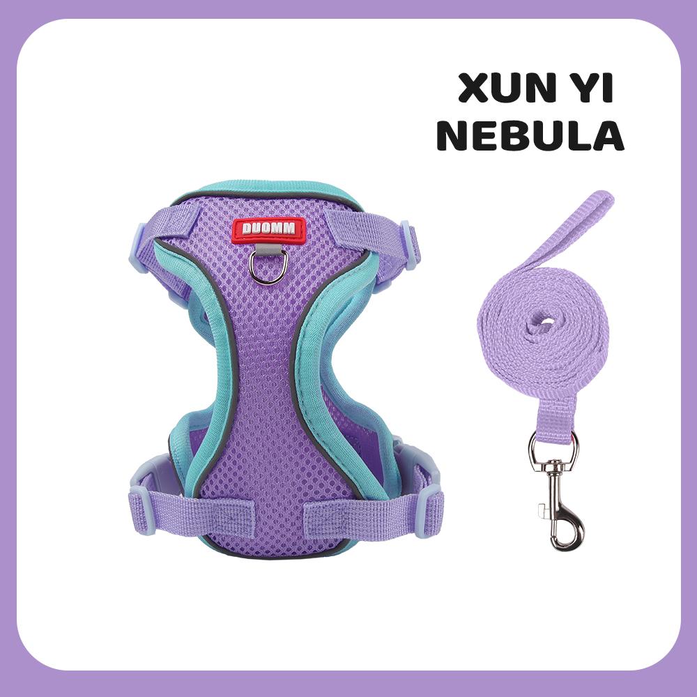 Summer Dog Harness Leash Set for Small Dogs - Colorful No-Pull Escape Proof Pet Vest Breathable Adjustable Outdoor Walking Gear