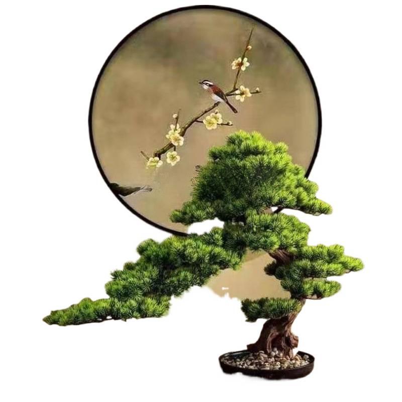 Potted Pine Bonsai for Indoor Living Room - Real Tree Landscape Decoration