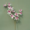 2 Fork Artificial Dendrobium Branch Real Touch Realistic Simulation Orchids Exquisite Handmade Fake Flowers