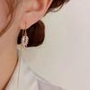 Korean Chic Zircon Wheat Earrings - Elegant, Unique Design