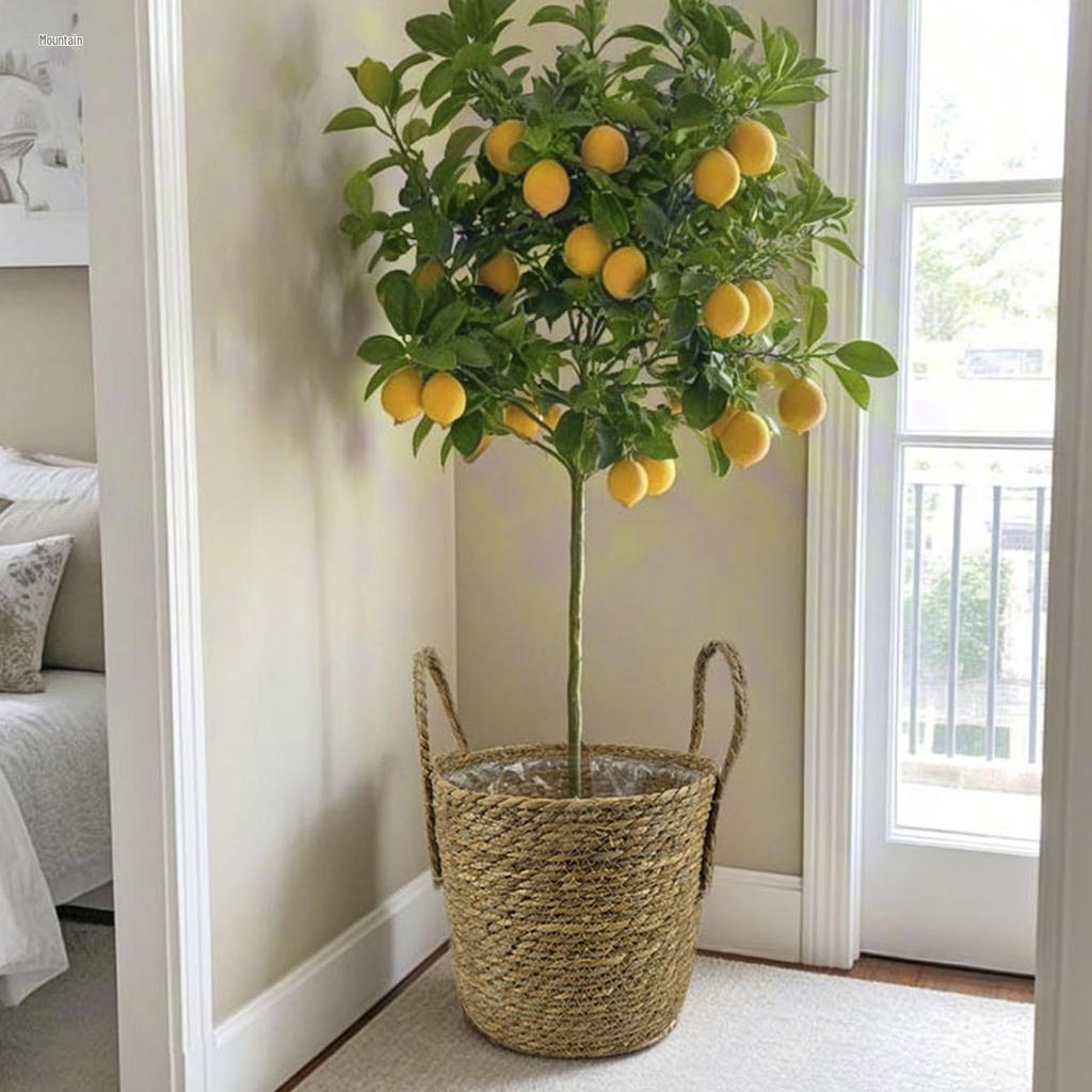 Handcrafted Straw Rope Indoor Plant Basket with Liner