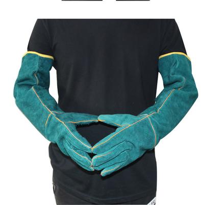 Pet Supplies Reptile Thickened Anti-bite Gloves Anti-bite and Scratch Pet Protective Gloves