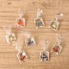 DIY Resin Goldfish Water Bag Keychain Pendant