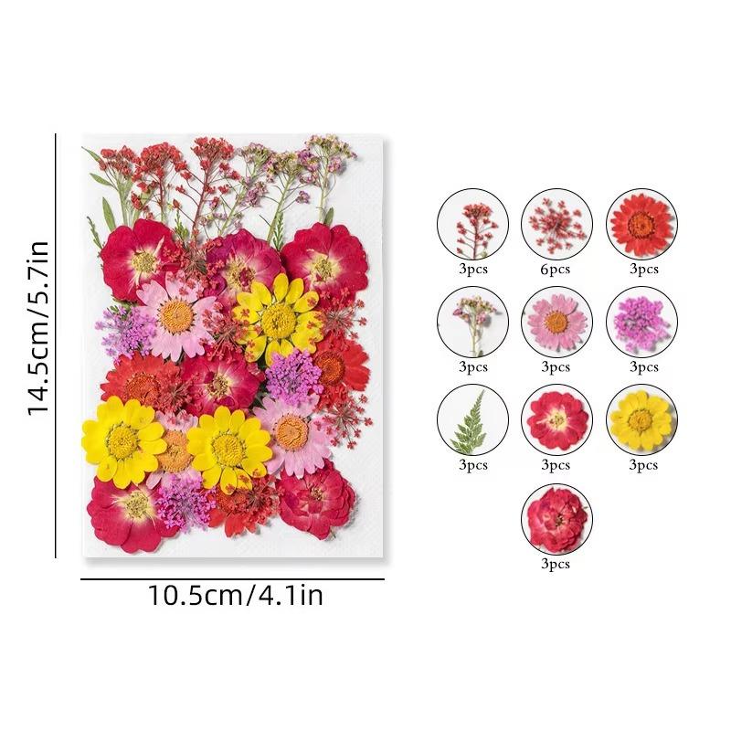 31-35PCS Dried Flower Set Mixed Multiple Pressed Flower Leaves DIY Candle Resin Nails Jewelry Pendant Crafts Art Floral Decors
