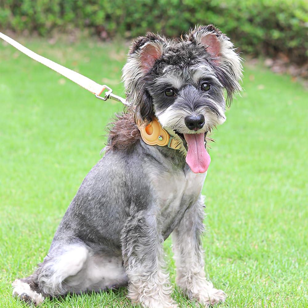 TSPRO Thick Dog Pulling Comfortable Soft and Durable Metal Soft Padded Lightweight and Suitable for and for Small to Medium Dogs Size Leash,