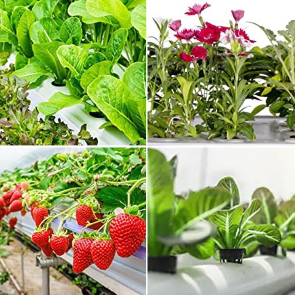 25PCS Pot Net Cup Containers for Garden Plants and Aeroponic Cloning Plastic Mesh Basket Suitable for Plant Growth