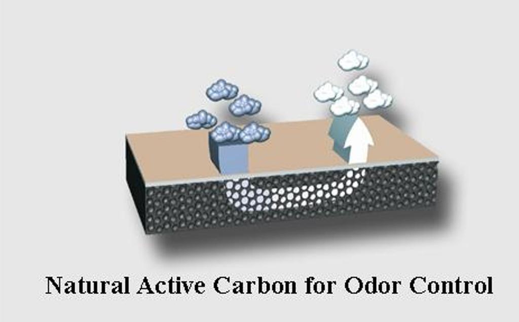 Premium Cowhide Leather Insoles Removal Deodorizing Leather with Carbon Filter in (Bacteria & Effect) [pedag] High-Efficiency (Made Germany) (Size