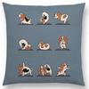Mais Novos Animais Yoga Estampas de Desenho Animado Engraçadas Capa de Almofada Alpaca Coelho Dachshund Bull Terrier Hipopótamo Cães Panda Capa de Almofada para Sofá