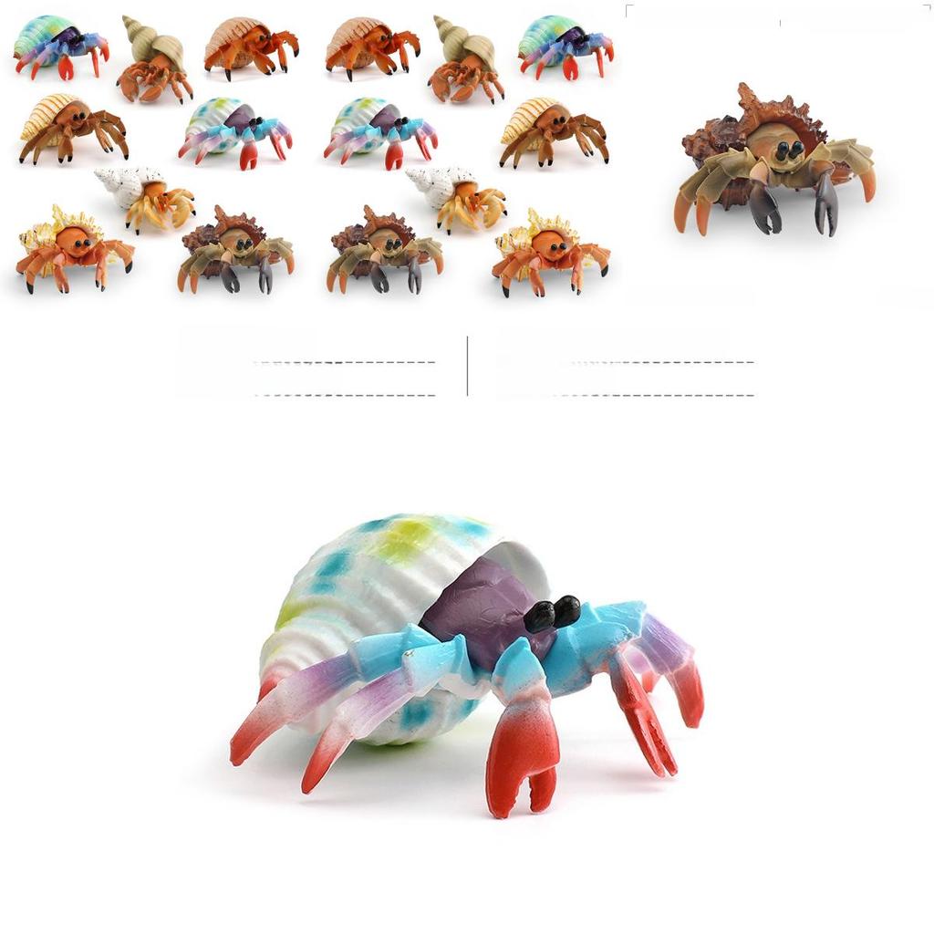 Simulation Marine Animal Pvc Hermit Crabs Sculpture For Kids Learning And Decorative Collection