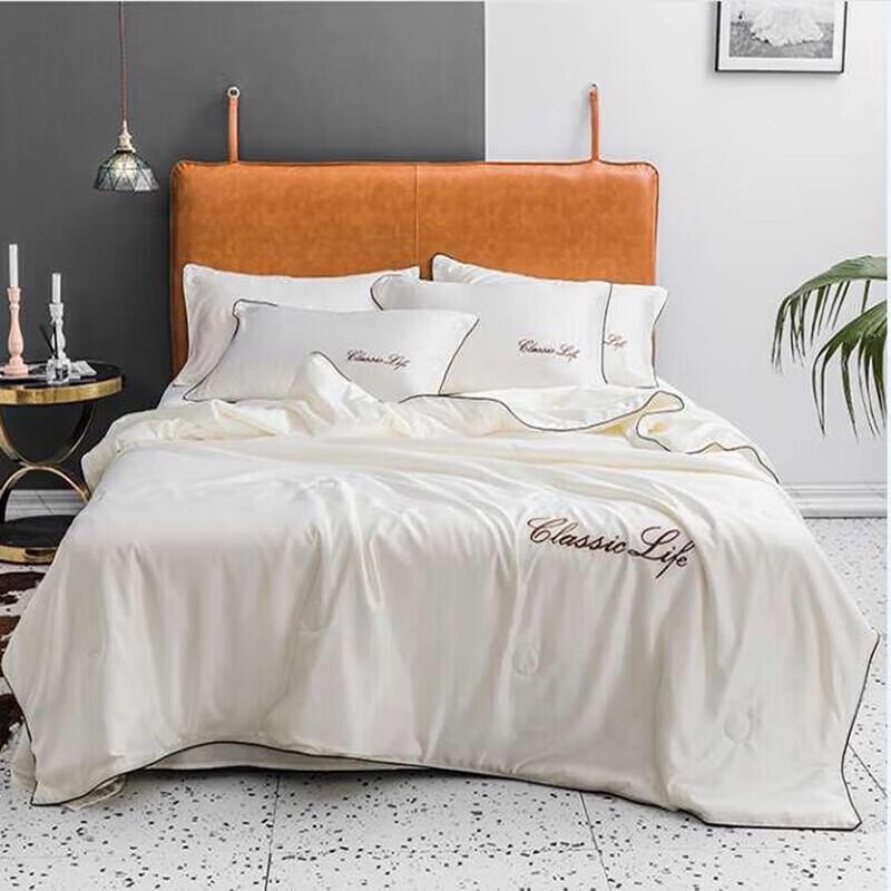 

Plover Washable Silky Soft Summer Quilt