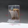 High Quality No Mess Automatic Bird Feeder Large-capacity Food Container Bird Feeders Anti-splash Birdcage Accessories