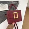 Retro small square bag women's  new fashion portable messenger bag winter solid color texture shoulder bag