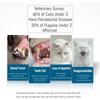 Small Dog Cat Toothbrush 360 Degree Soft Silicone Cat Dental Care Toothbrush Holde Easy To Handle Independent Packaging