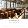 Livestock Deodorants And Ammonia Reducing Agents, Farm Animal Deodorants, Ammonia Odor Reducers, Odor Control Sprays,100ml