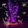 Halloween Skeleton Dog Decoration Posable Standing Dog Skeleton with Movable Joints Plastic Full Body Dog Bone with Mane