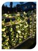 Solar Rose String Lights: Outdoor & Indoor Decorative Flower Vine for Patios, Balconies, Railings, and Ambiance