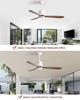 European Minimalist 52-inch Variable Frequency Ceiling Fan Light for Living Room & Dining Area