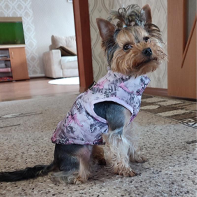 Hundekleidung für kleine Hunde Yorkia Mini Chihuahua Hundekleidung Winterkatzenjacke Mantel für Mopswelpen Daunenmantel Sphynx Haustierbekleidung