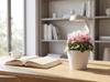 3D Printed Rotating Desktop Rain Watering Vase Self Circulating Plant Pot with Water Cycle System for Indoor Use Suitable for Desk Decoration