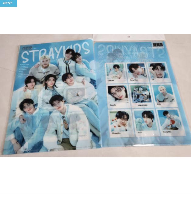 

Папка-файл А4 Stray Kids (Случайное изображение) 1 ea