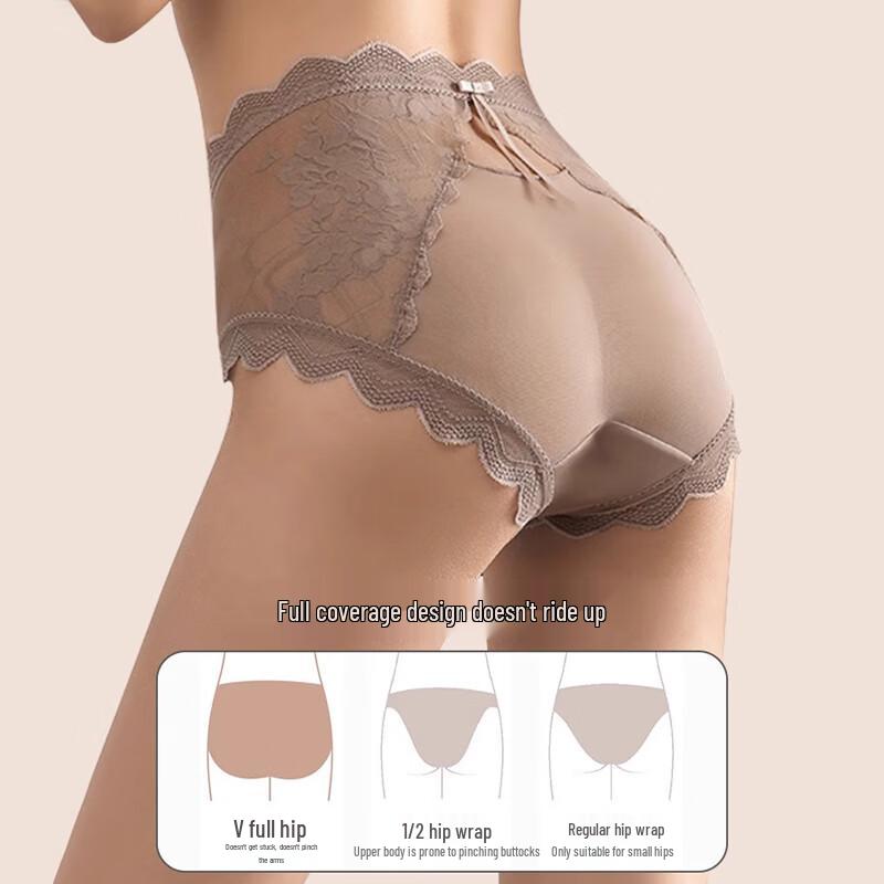 FitonTon Women's 2-Pack Sexy French Lace Sheer Briefs