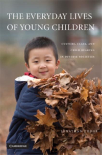 The The Everyday Lives of Young Children : Culture, Class, and Child Rearing In Diverse Societies Book