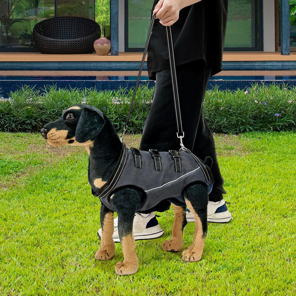 Imbragatura di supporto regolabile per cani anziani con problemi alle articolazioni