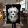 Black Maltese dog,pattern Flannel Blanket, High quality Comfortable for All Seasons, Home Decor, Warmth and Comfort, Perfect for Gifts.