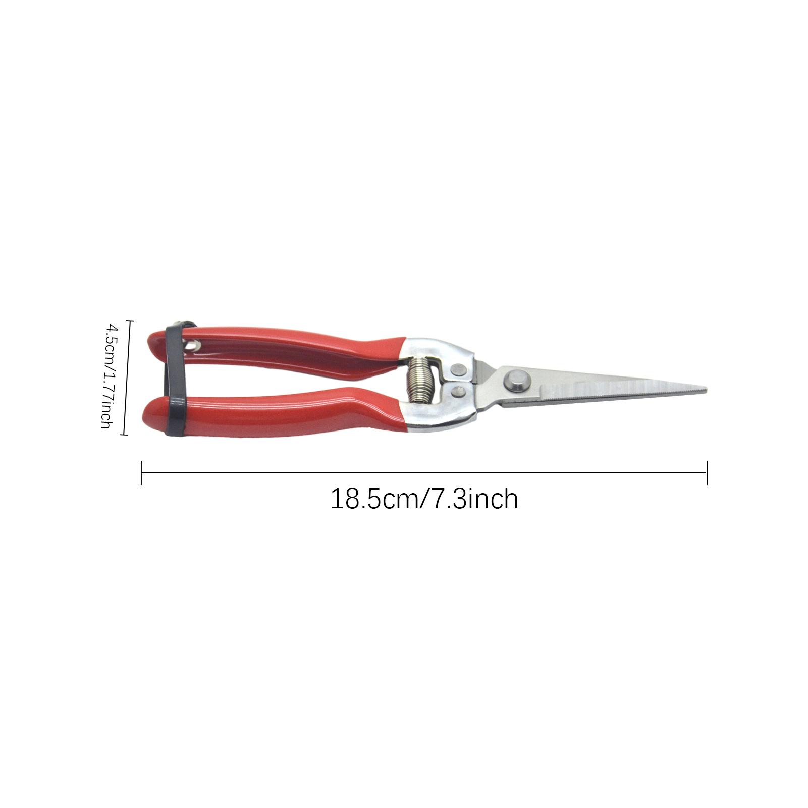 Grape Scissors Pruning Shears W/ Tweezers Garden Tool Vegetable Patch Bonsai Professional Joinery Stainless Steel Fruit Picking