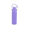 304 Stainless Steel Insulated Sports Bottle with Handle