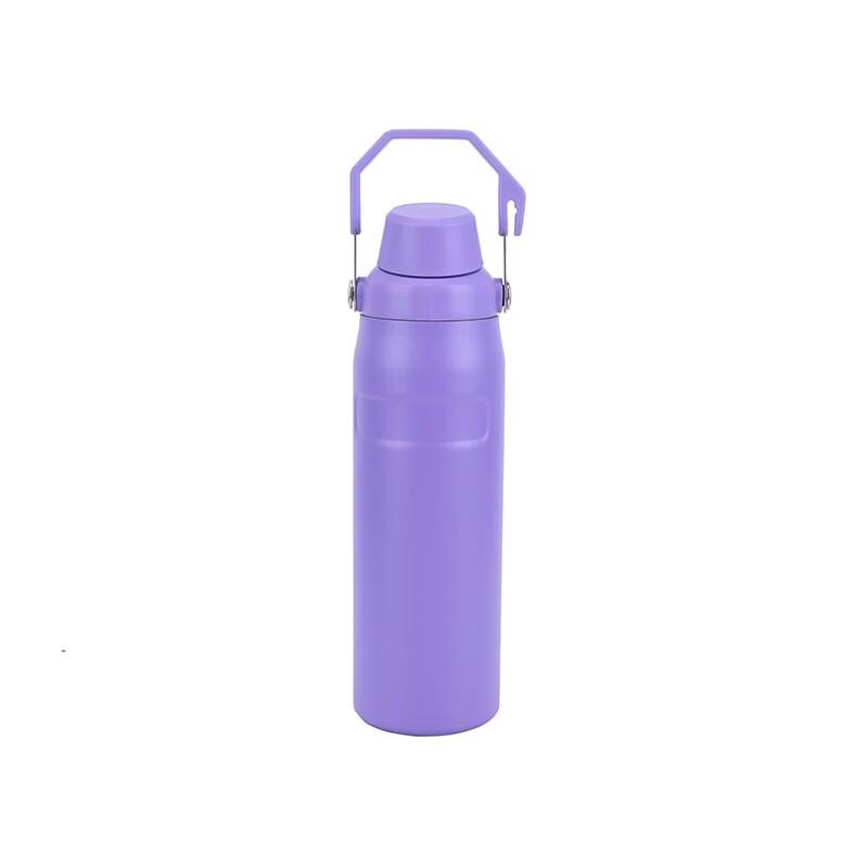 304 Stainless Steel Insulated Sports Bottle with Handle