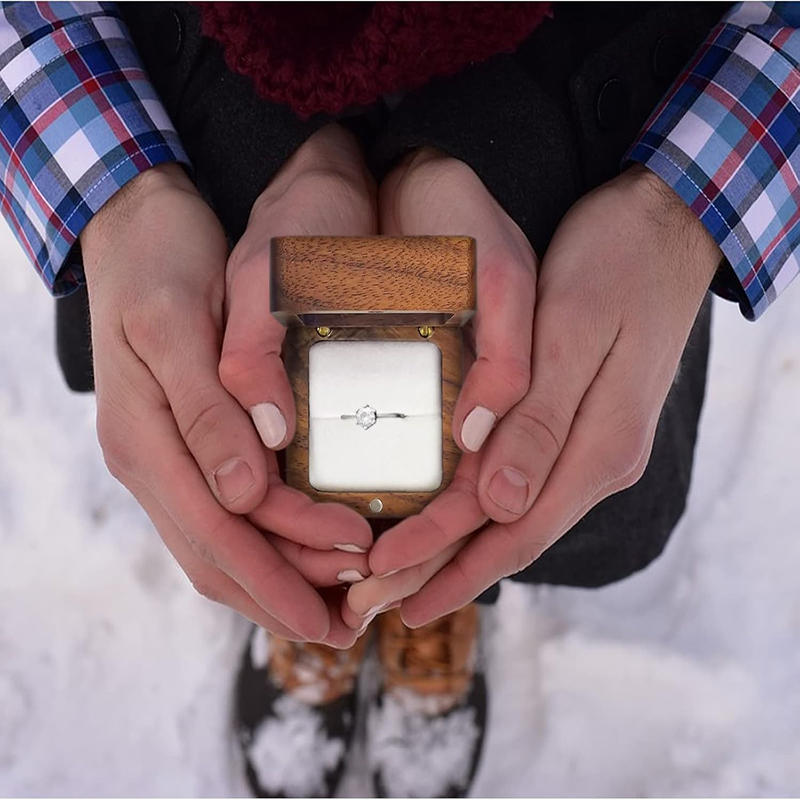 Rese smyckeskrin för ringar, örhängen och hängen Lättviktsförvaringsorganisatör med säker stängning Perfekt för resor och daglig smyckesskydd