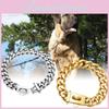 Coleira Durável de Aço Inoxidável Dourado de 19mm para Cães com Design Chic Hip Hop e Opções de Tamanho Versátil